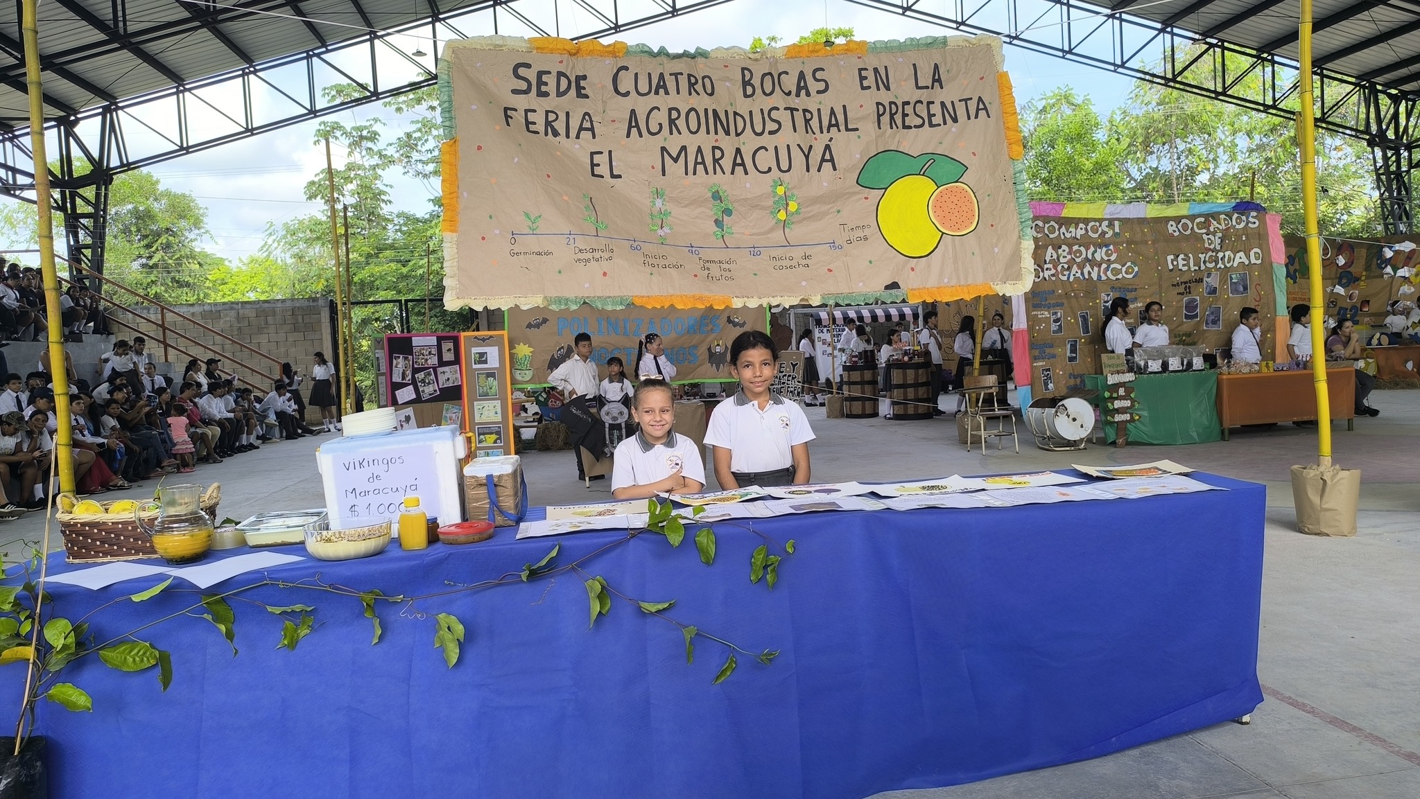 Descripción de la imagen